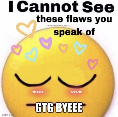 I cannot see these flaws you speak of | GTG BYEEE | image tagged in i cannot see these flaws you speak of | made w/ Imgflip meme maker
