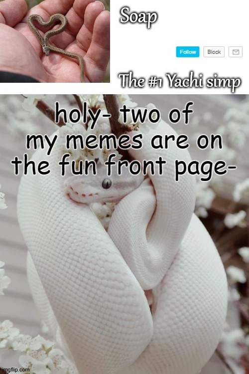 h o w | holy- two of my memes are on the fun front page- | image tagged in soap snake temp ty yachi | made w/ Imgflip meme maker
