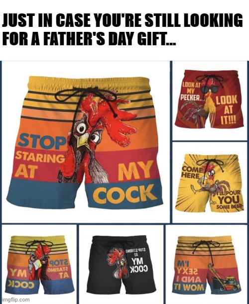 Gift ideas | JUST IN CASE YOU'RE STILL LOOKING 
FOR A FATHER'S DAY GIFT... | image tagged in fathers day | made w/ Imgflip meme maker