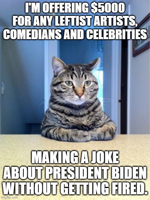 any volunteers? | I'M OFFERING $5000 FOR ANY LEFTIST ARTISTS, COMEDIANS AND CELEBRITIES; MAKING A JOKE ABOUT PRESIDENT BIDEN WITHOUT GETTING FIRED. | image tagged in memes,take a seat cat | made w/ Imgflip meme maker