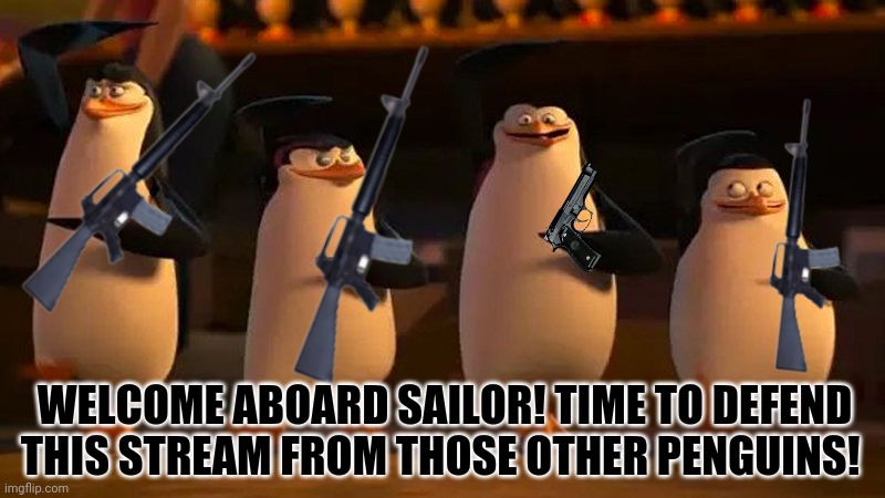 penguins of madagascar | WELCOME ABOARD SAILOR! TIME TO DEFEND THIS STREAM FROM THOSE OTHER PENGUINS! | image tagged in penguins of madagascar | made w/ Imgflip meme maker