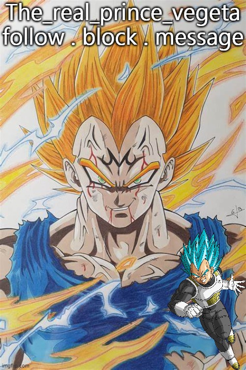 The_real_prince_vegeta
follow . block . message | made w/ Imgflip meme maker