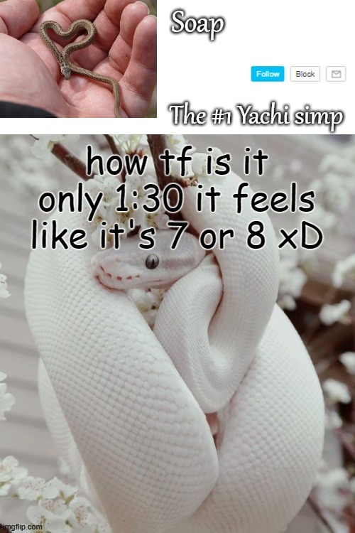 how tf is it only 1:30 it feels like it's 7 or 8 xD | image tagged in soap snake temp ty yachi | made w/ Imgflip meme maker
