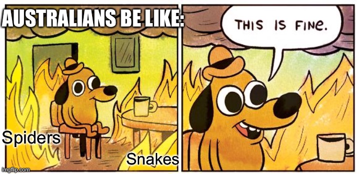Australians be like | AUSTRALIANS BE LIKE:; Spiders; Snakes | image tagged in memes,this is fine | made w/ Imgflip meme maker
