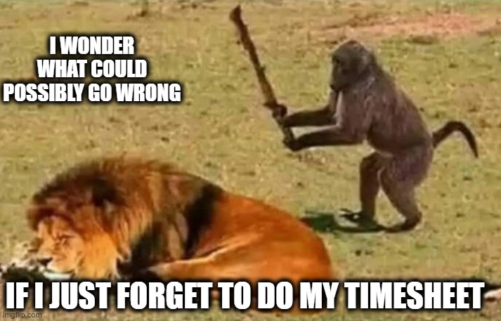 Instant Regret |  I WONDER WHAT COULD POSSIBLY GO WRONG; IF I JUST FORGET TO DO MY TIMESHEET | image tagged in drunk monkey,timesheet reminder,timesheet meme | made w/ Imgflip meme maker