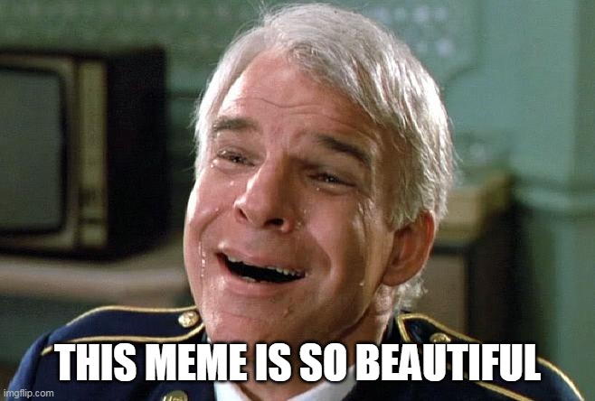 tears of joy steve martin | THIS MEME IS SO BEAUTIFUL | image tagged in tears of joy steve martin | made w/ Imgflip meme maker