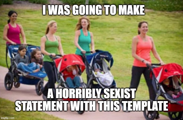 Stroller | I WAS GOING TO MAKE; A HORRIBLY SEXIST STATEMENT WITH THIS TEMPLATE | image tagged in cool cat stroll | made w/ Imgflip meme maker