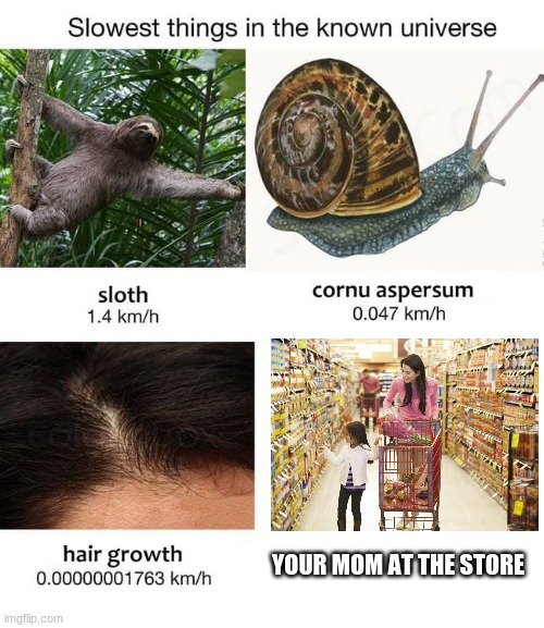 Slowest things | YOUR MOM AT THE STORE | image tagged in slowest things | made w/ Imgflip meme maker