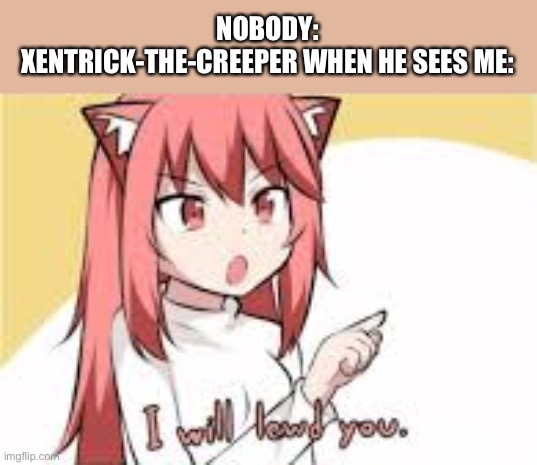 He said that he is gonna make rule 34 of me | NOBODY:
XENTRICK-THE-CREEPER WHEN HE SEES ME: | image tagged in i will lewd you,rule 34,xentrick-the-creeper,lewd,hentai,nobody | made w/ Imgflip meme maker