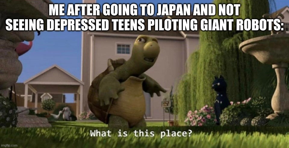 What is this place | ME AFTER GOING TO JAPAN AND NOT SEEING DEPRESSED TEENS PILOTING GIANT ROBOTS: | image tagged in what is this place | made w/ Imgflip meme maker