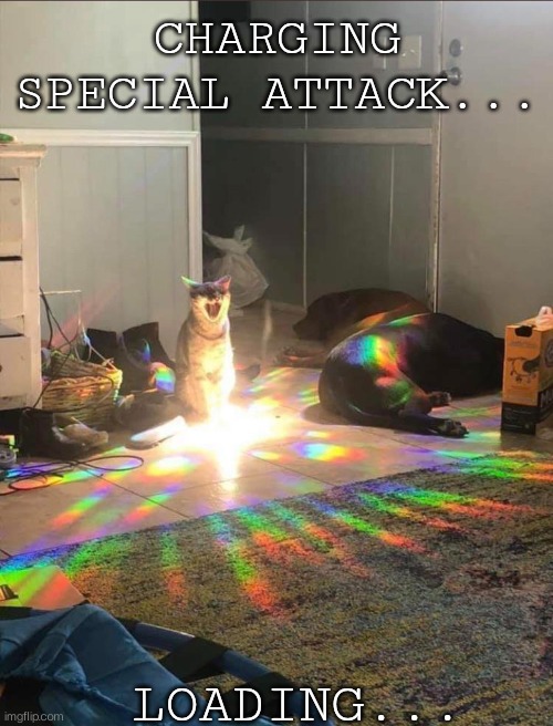 Sun cat is charging... | CHARGING SPECIAL ATTACK... LOADING... | image tagged in special,cat | made w/ Imgflip meme maker