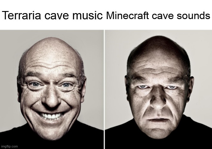 Dean Norris's reaction | Minecraft cave sounds; Terraria cave music | image tagged in dean norris's reaction | made w/ Imgflip meme maker
