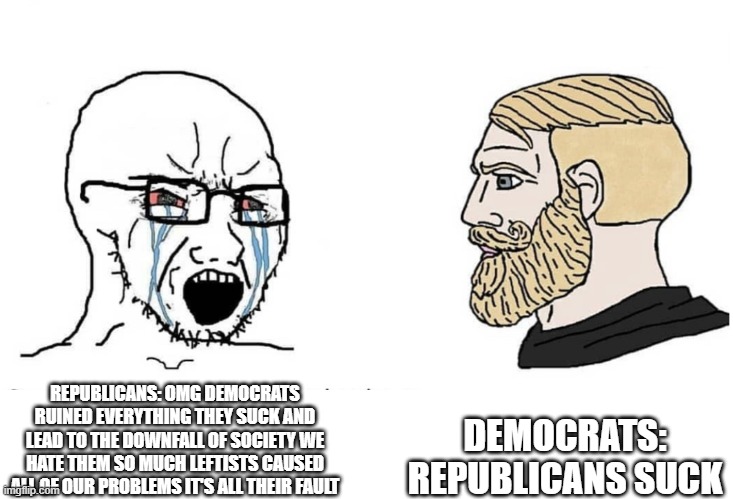What I think? I think both sides need to stop acting like children. | DEMOCRATS: REPUBLICANS SUCK; REPUBLICANS: OMG DEMOCRATS RUINED EVERYTHING THEY SUCK AND LEAD TO THE DOWNFALL OF SOCIETY WE HATE THEM SO MUCH LEFTISTS CAUSED ALL OF OUR PROBLEMS IT'S ALL THEIR FAULT | image tagged in soyboy vs yes chad | made w/ Imgflip meme maker