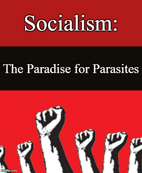 You Make It; They Take It |  Socialism:; The Paradise for Parasites | image tagged in socialism,joe biden 2020,marxism,free stuff,welfare,democratic socialism | made w/ Imgflip meme maker