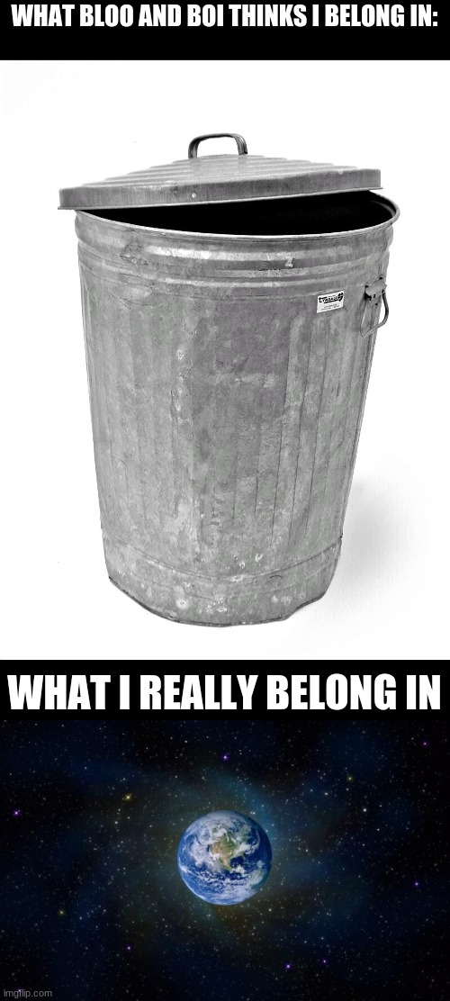no offense but they think i belong in the trash | WHAT BLOO AND BOI THINKS I BELONG IN:; WHAT I REALLY BELONG IN | image tagged in trash can,planet earth from space | made w/ Imgflip meme maker