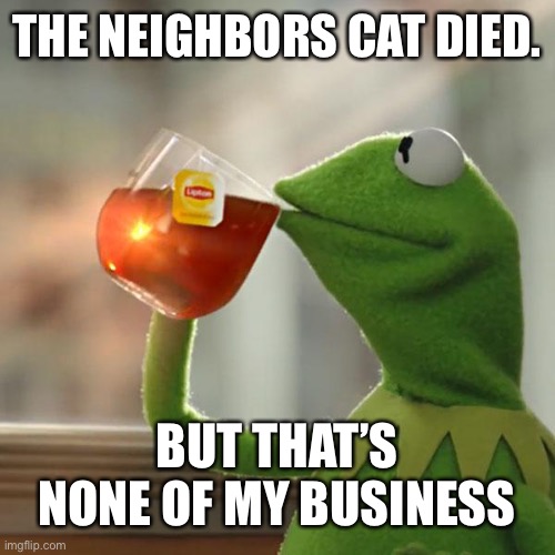 Oh well for them | THE NEIGHBORS CAT DIED. BUT THAT’S NONE OF MY BUSINESS | image tagged in memes,but that's none of my business,kermit the frog | made w/ Imgflip meme maker