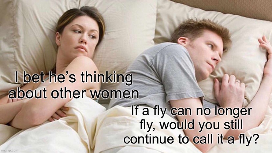 I Bet He's Thinking About Other Women Meme | I bet he’s thinking about other women; If a fly can no longer fly, would you still continue to call it a fly? | image tagged in memes,i bet he's thinking about other women | made w/ Imgflip meme maker