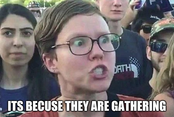 Triggered Liberal | ITS BECUSE THEY ARE GATHERING | image tagged in triggered liberal | made w/ Imgflip meme maker