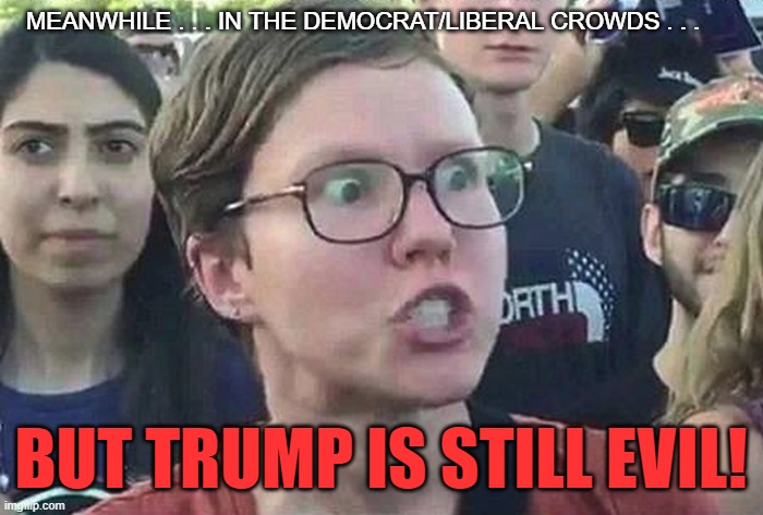 Triggered Liberal | MEANWHILE . . . IN THE DEMOCRAT/LIBERAL CROWDS . . . BUT TRUMP IS STILL EVIL! | image tagged in triggered liberal | made w/ Imgflip meme maker