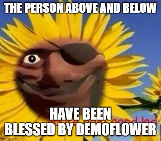 THE PERSON ABOVE AND BELOW; HAVE BEEN BLESSED BY DEMOFLOWER | made w/ Imgflip meme maker