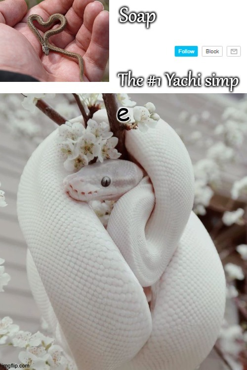 e | image tagged in soap snake temp ty yachi | made w/ Imgflip meme maker
