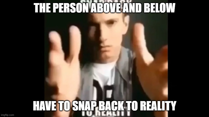 Snap Back To Reality | THE PERSON ABOVE AND BELOW; HAVE TO SNAP BACK TO REALITY | image tagged in snap back to reality | made w/ Imgflip meme maker