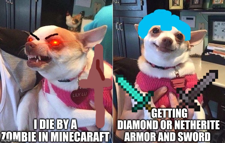 angry dog meme | GETTING DIAMOND OR NETHERITE ARMOR AND SWORD; I DIE BY A ZOMBIE IN MINECARAFT | image tagged in angry dog meme | made w/ Imgflip meme maker