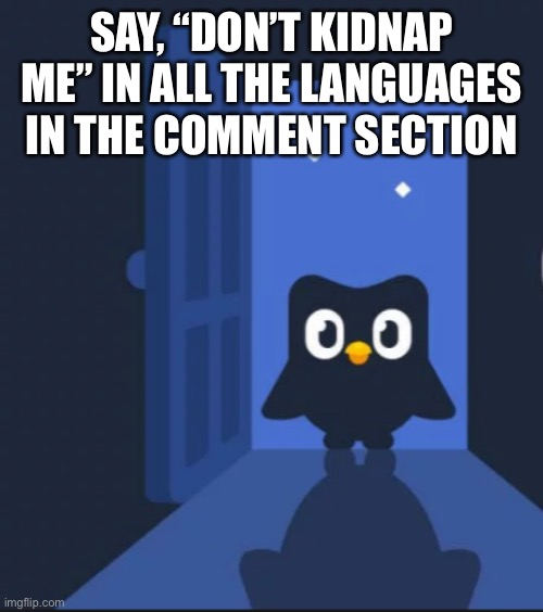 Do it or else the Duolingo bird will kidnap you | SAY, “DON’T KIDNAP ME” IN ALL THE LANGUAGES IN THE COMMENT SECTION | image tagged in duolingo bird,duolingo | made w/ Imgflip meme maker