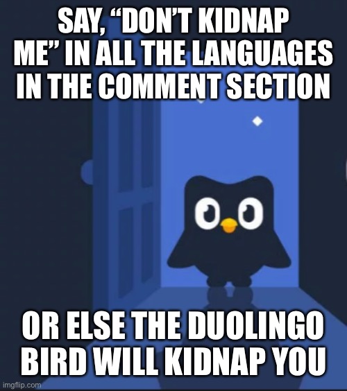 Duolingo bird | SAY, “DON’T KIDNAP ME” IN ALL THE LANGUAGES IN THE COMMENT SECTION; OR ELSE THE DUOLINGO BIRD WILL KIDNAP YOU | image tagged in duolingo bird | made w/ Imgflip meme maker