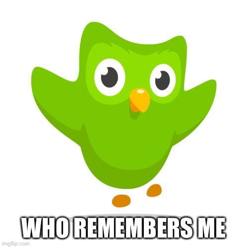 e | WHO REMEMBERS ME | image tagged in things duolingo teaches you | made w/ Imgflip meme maker
