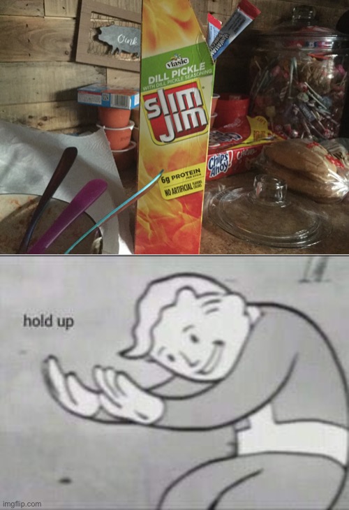 With dill pickle seasoning? As if Dil Pickles from Rugrats?! | image tagged in fallout hold up,weird stuff | made w/ Imgflip meme maker
