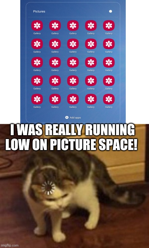 I take lots of pictures! | I WAS REALLY RUNNING LOW ON PICTURE SPACE! | image tagged in loading cat | made w/ Imgflip meme maker