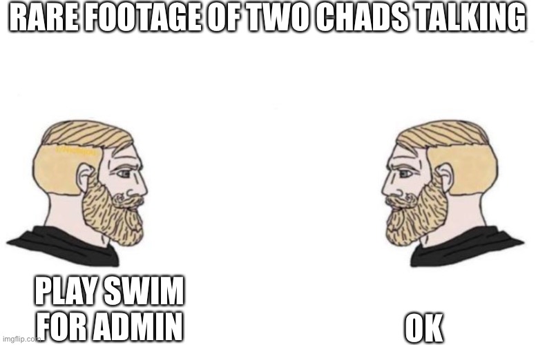 Double Yes Chad | RARE FOOTAGE OF TWO CHADS TALKING PLAY SWIM FOR ADMIN OK | image tagged in double yes chad | made w/ Imgflip meme maker