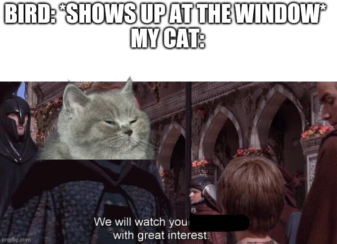 Sorry if this is a repost |  BIRD: *SHOWS UP AT THE WINDOW* 
MY CAT: | image tagged in we will watch your career with great interest,cats,charts,demotivationals,barney will eat all of your delectable biscuits | made w/ Imgflip meme maker