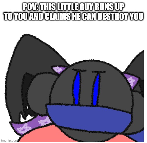 Idk | POV: THIS LITTLE GUY RUNS UP TO YOU AND CLAIMS HE CAN DESTROY YOU | made w/ Imgflip meme maker
