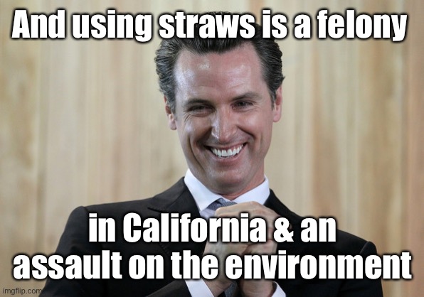 Scheming Gavin Newsom  | And using straws is a felony in California & an assault on the environment | image tagged in scheming gavin newsom | made w/ Imgflip meme maker