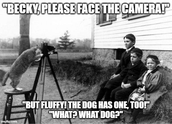 Cat-Cam | "BECKY, PLEASE FACE THE CAMERA!"; "BUT FLUFFY! THE DOG HAS ONE, TOO!"
"WHAT? WHAT DOG?" | image tagged in cats,dogs,nostalgia,photography,children | made w/ Imgflip meme maker