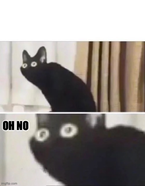 Oh No Black Cat | OH NO | image tagged in oh no black cat | made w/ Imgflip meme maker