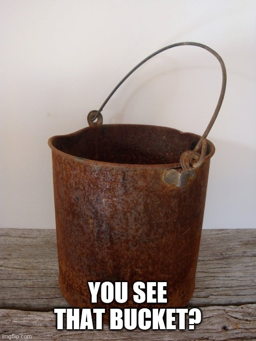 Rust bucket | YOU SEE THAT BUCKET? | image tagged in rust bucket | made w/ Imgflip meme maker