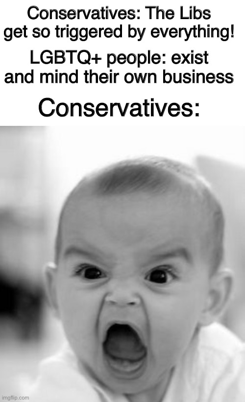 They really do sound like that… anyway happy pride month | Conservatives: The Libs get so triggered by everything! LGBTQ+ people: exist and mind their own business; Conservatives: | image tagged in memes,angry baby,conservative hypocrisy,conservative logic,lgbtq,lgbt | made w/ Imgflip meme maker