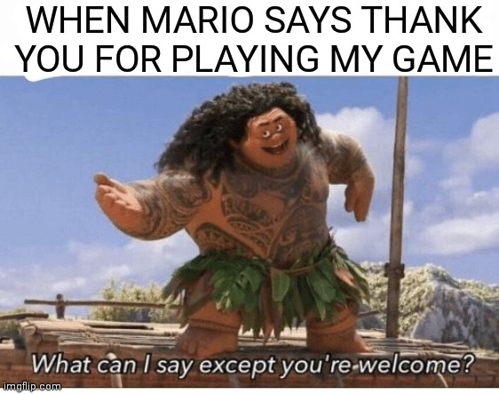 What can I say except you're welcome? |  WHEN MARIO SAYS THANK YOU FOR PLAYING MY GAME | image tagged in what can i say except you're welcome | made w/ Imgflip meme maker