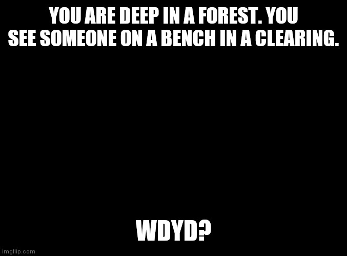 blank black | YOU ARE DEEP IN A FOREST. YOU SEE SOMEONE ON A BENCH IN A CLEARING. WDYD? | image tagged in blank black | made w/ Imgflip meme maker