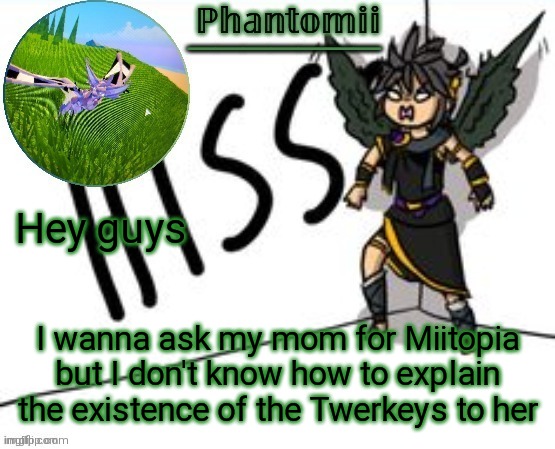 Any ideas? | Hey guys; I wanna ask my mom for Miitopia but I don't know how to explain the existence of the Twerkeys to her | image tagged in hm | made w/ Imgflip meme maker