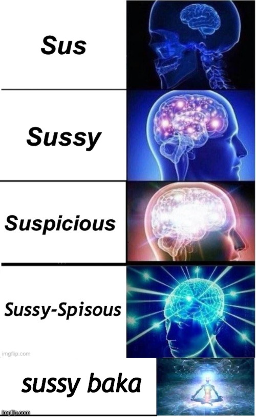 sussy baka | image tagged in expanding brain 5 panel | made w/ Imgflip meme maker