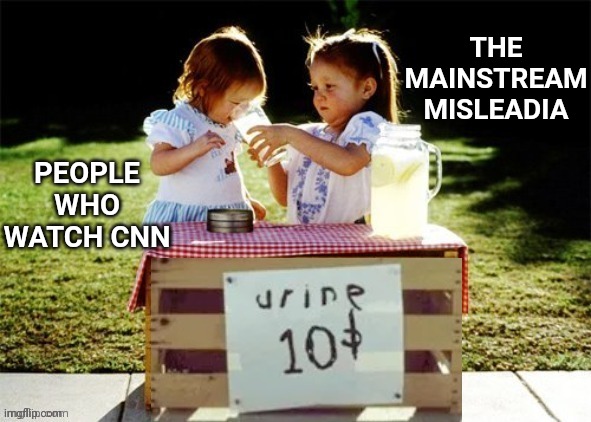 Girl's lemonade stand selling urine 2 | THE MAINSTREAM MISLEADIA; PEOPLE WHO WATCH CNN | image tagged in girl's lemonade stand selling urine 2 | made w/ Imgflip meme maker