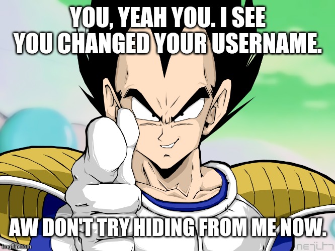 YOU, YEAH YOU. I SEE YOU CHANGED YOUR USERNAME. AW DON'T TRY HIDING FROM ME NOW. | made w/ Imgflip meme maker