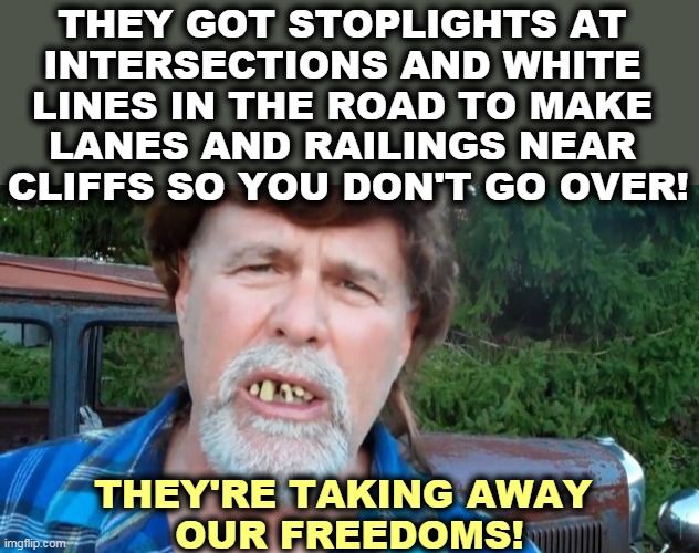 It's called growing up. | THEY GOT STOPLIGHTS AT 
INTERSECTIONS AND WHITE 
LINES IN THE ROAD TO MAKE 
LANES AND RAILINGS NEAR 
CLIFFS SO YOU DON'T GO OVER! THEY'RE TAKING AWAY 
OUR FREEDOMS! | image tagged in angry redneck hillbilly trump voter,speed limit,neckbeard libertarian,fool | made w/ Imgflip meme maker