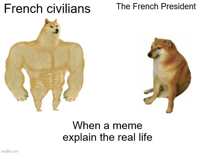 Buff Doge vs. Cheems | French civilians; The French President; When a meme explain the real life | image tagged in memes,buff doge vs cheems | made w/ Imgflip meme maker