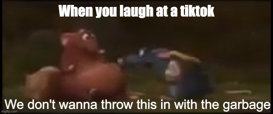 What do the mods think | When you laugh at a tiktok | image tagged in not with the garbage | made w/ Imgflip meme maker