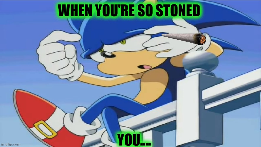 Sonic Can't Remember - Sonic X | WHEN YOU'RE SO STONED; YOU.... | image tagged in sonic can't remember - sonic x | made w/ Imgflip meme maker